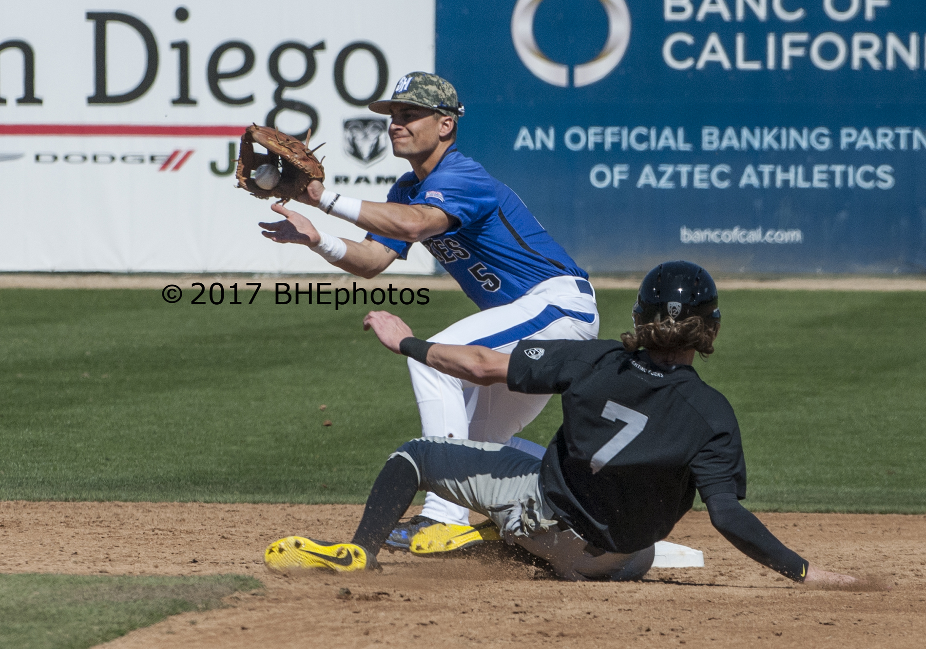 Al Molina - Baseball - Seton Hall University Athletics