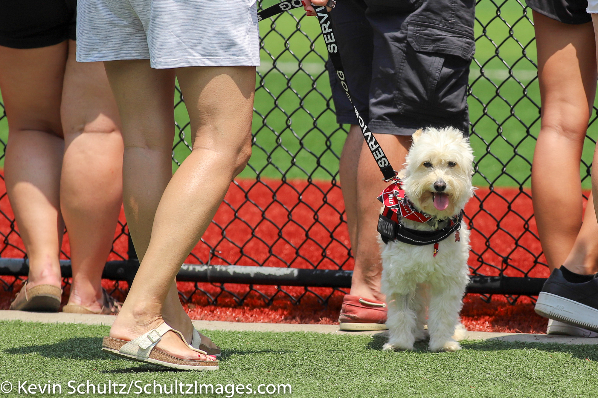 CBD Gallery: Louisville defeats Illinois State 4-3 to win Regional